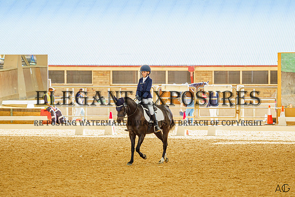 _AJG3931