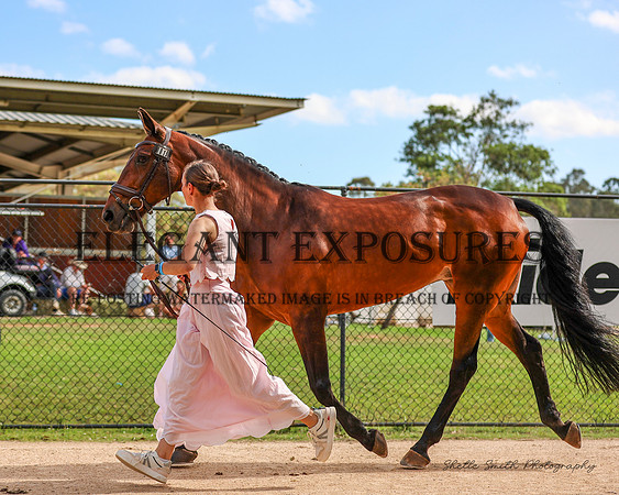MAS_0550