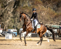 Young Dressage Association 4-5.11.2023