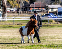 MKG_5837