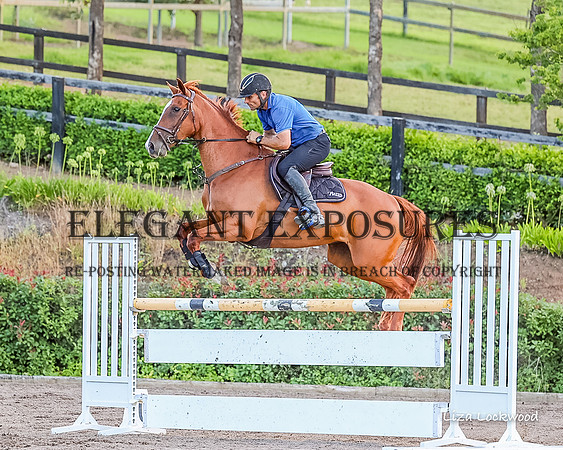 LHL(MS)-0454
