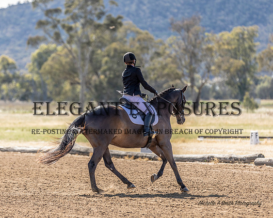 MAS_6810