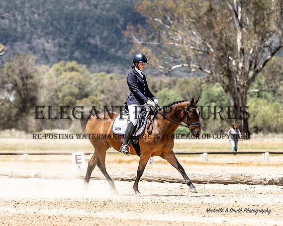 MAS_9097