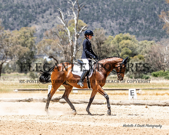 MAS_9185