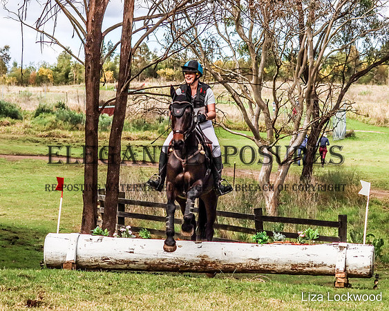 LHL(MG)-40