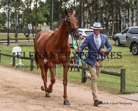 MAS_2306