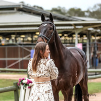 Sydney Int. 3DE - Trot Up - 09.11.2023