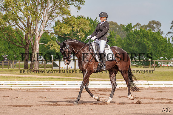 _AJG3270