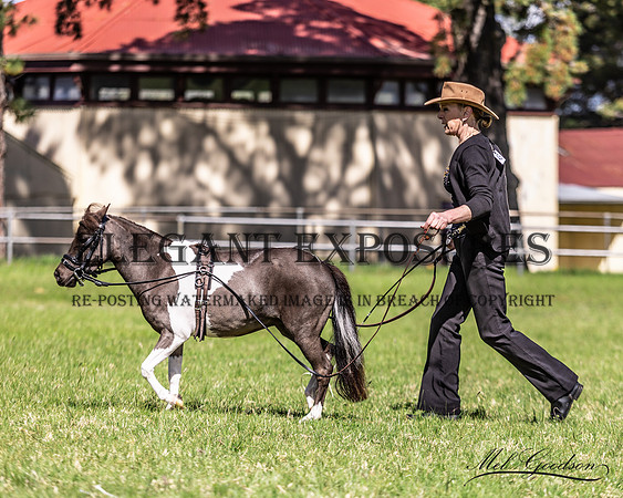 MKG_1472