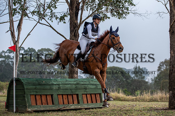 OLS_5176