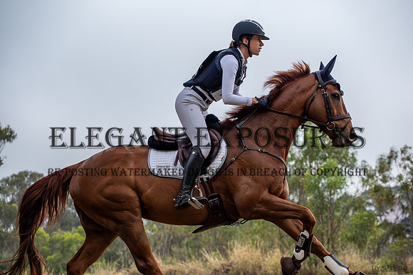 OLS_5178