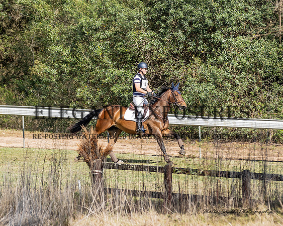 MAS_5981