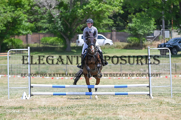 TMH-282