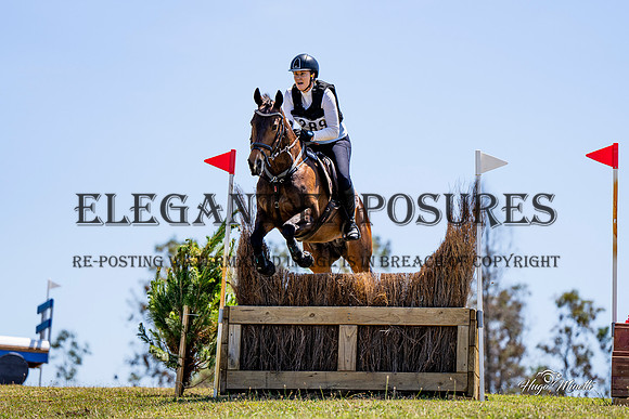 HM_8091