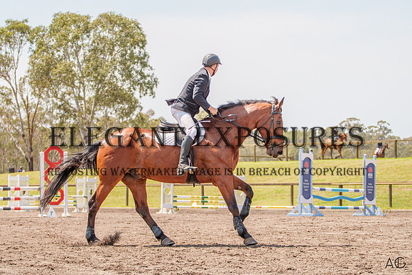 _AJG0291