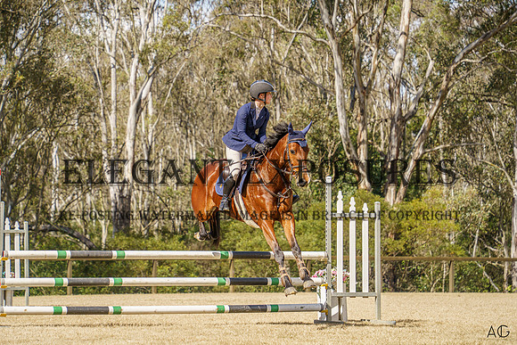 _AJG8873
