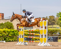Sydney Int. 3DE - Show jumping- 12.11.2023