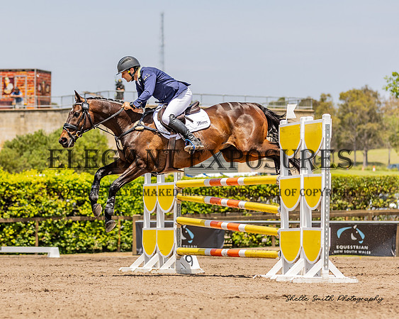 MAS_7806