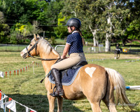 LHL_9355