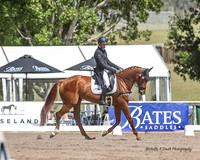 Syd Int. 3DE - Dressage - Arena 2b - 3 Star - 10.11.2023