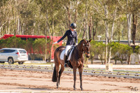 Syd Int. 3DE - Dressage - Arena 8 - 10.11.2023