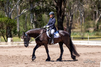 Syd Int. 3DE - Dressage - Arena 10 - 10.11.2023