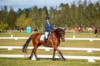 OLS_2586
