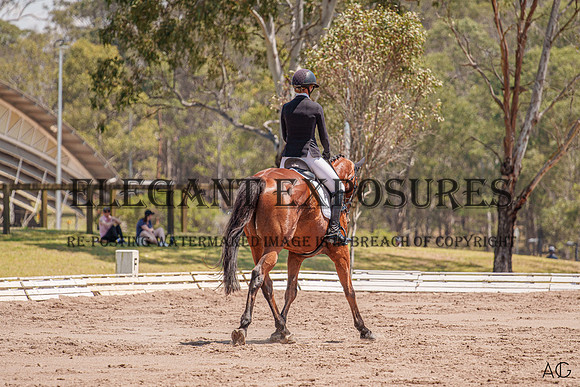 _AJG4593
