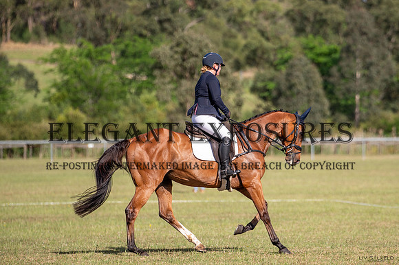 OLS_1164