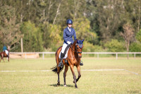 OLS_0977