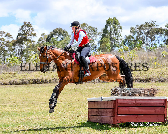NYK(MG)-5102