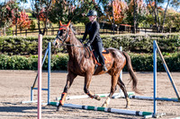 OLS_6108