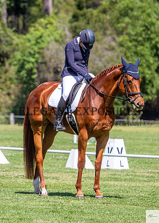 KAT-2993