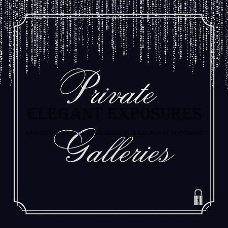 Embrace Private Gallery Cover