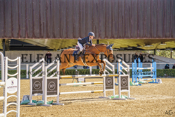_AJG2004