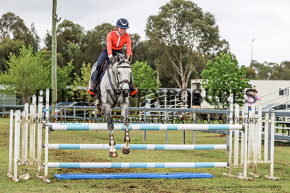 LHL(OS)-3113