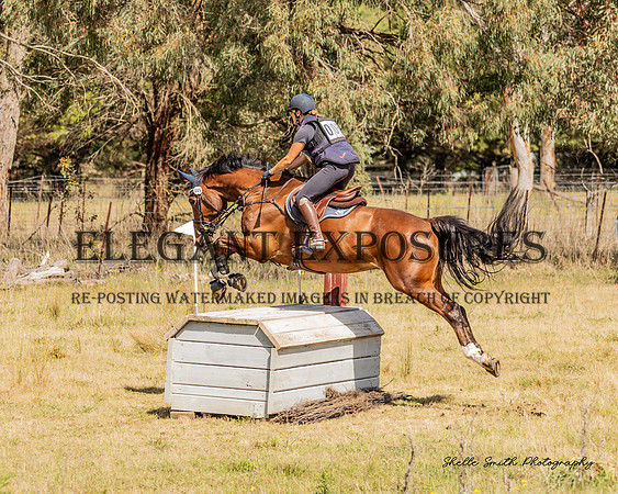 MAS_1634