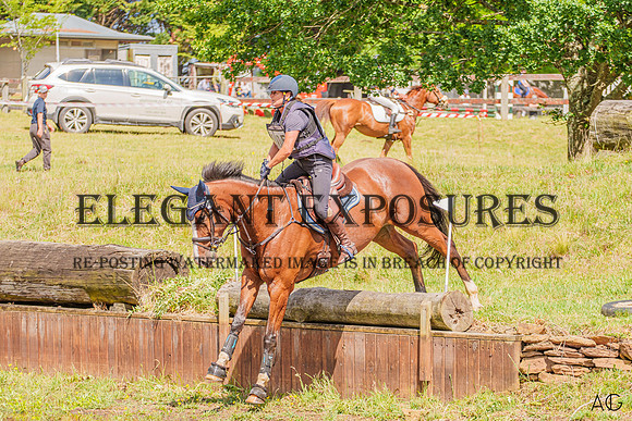 _AJG2417