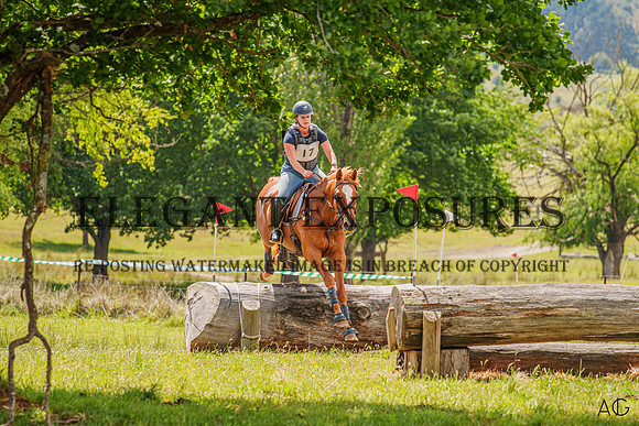 _AJG2512