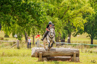 _AJG2539