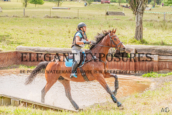 _AJG2563