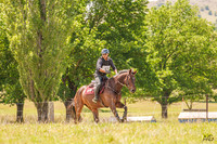 _AJG2967