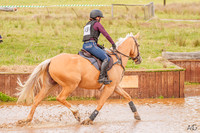 _AJG3850