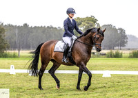 Shoalhaven Dressage - 25.11.2023