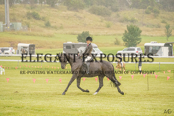 _AJG4101