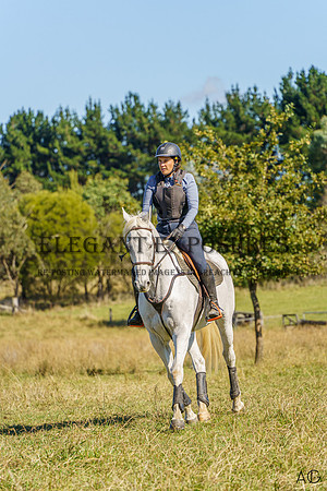 _AJG2175