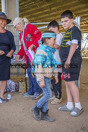 _AJG6016