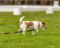 MAS_4435