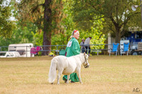 _AJG4852