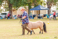 _AJG4854